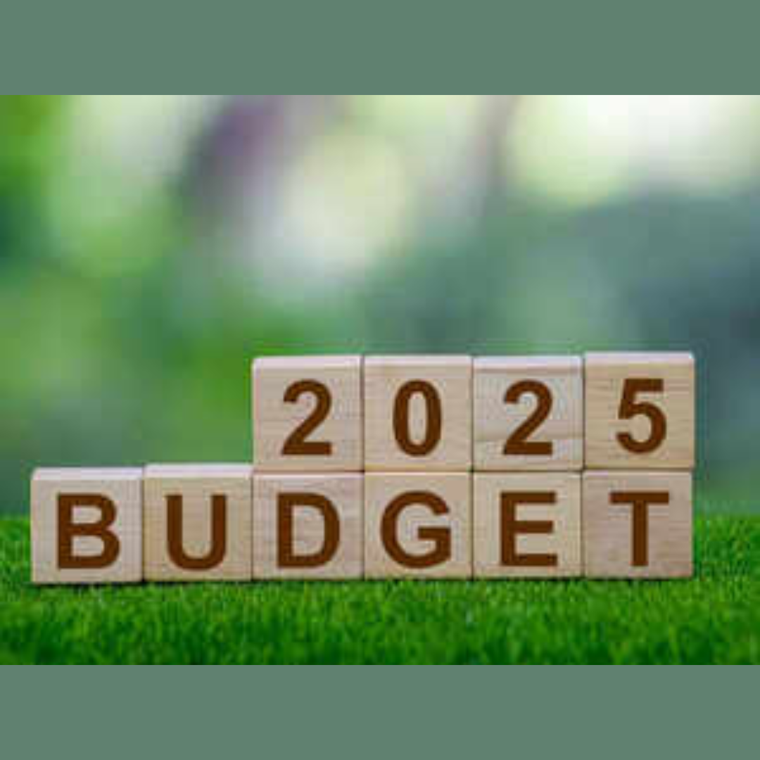 Budget 2025 answers expectations, raises questions for Gulf NRI businesses
